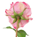 Artificial Bouquet Set (72pcs) Roses