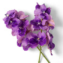 Bouquet of Artificial Flowers (24pcs) Vanda Orchids