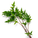Artificial Green Bundle (36pcs) Tender Leaves