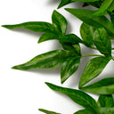 Artificial Green Bundle (36pcs) Tender Leaves