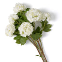Snowball Flower Bouquet (36pcs) Hydrangeas