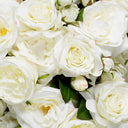 Artificial Bouquet Set (72pcs) Roses
