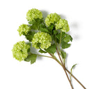 Snowball Flower Bouquet (36pcs) Hydrangeas