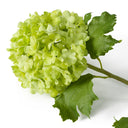 Snowball Flower Bouquet (36pcs) Hydrangeas