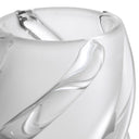 Frosted Glass Vase Celestino