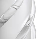 Frosted Glass Vase Celestino
