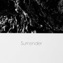 Gray Somersault Art Print  Surrender