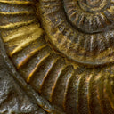 Brass Table Lamp Kamari