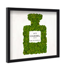 Number 5 Moss Live Art