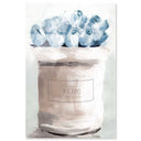 Blue Flowers From Paris