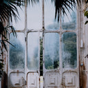 GREENHOUSE II BY ANNIE SPRATT
