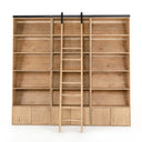 BANE BOOKSHELF