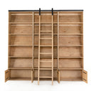 BANE BOOKSHELF