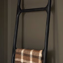 Boothe Ladder