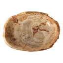 Oval Petrified Wood Bowl