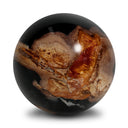 Petrified Wood Balls, Set Of 3