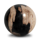 Petrified Wood Balls, Set Of 3