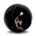 Petrified Wood Balls, Set Of 3