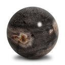 Petrified Wood Balls, Set Of 3