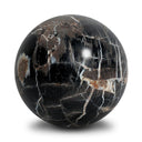 Petrified Wood Balls, Set Of 3