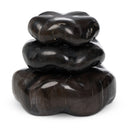 Petrified Wood Organic Sculpture, Set Of 3
