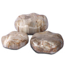 Petrified Wood Organic Sculpture, Set Of 3