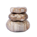 Petrified Wood Organic Sculpture, Set Of 3