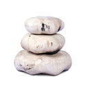 Petrified Wood Organic Sculpture, Set Of 3