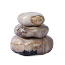 Petrified Wood Organic Sculpture, Set Of 3