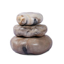 Petrified Wood Organic Sculpture, Set Of 3