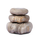 Petrified Wood Organic Sculpture, Set Of 3