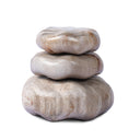 Petrified Wood Organic Sculpture, Set Of 3