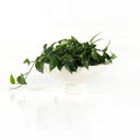 Pressler Outdoor Planter, Set Of 2