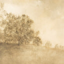 REVIVAL BY AILEEN FITZGERALD