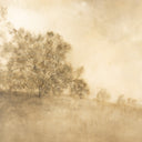 REVIVAL BY AILEEN FITZGERALD