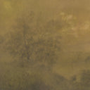 EXPANSE BY AILEEN FITZGERALD