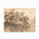 Hillside Haze X By Aileen Fitzgerald