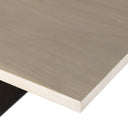 PING PONG TABLE