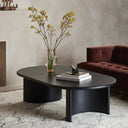 PADEN COFFEE TABLE