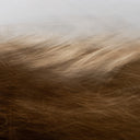REALITY UNFURLED BY TONI TOSCANO