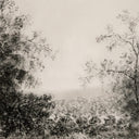 Landscape Study Ii By Aileen Fitzgerald