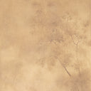 TOWERING OAK BY AILEEN FITZGERALD