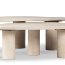 Zion Nesting Coffee Tables