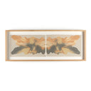 Rorschach After Storm I By Orfeo Quagliata