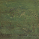 CARRYING THE OLIVE BRANCH NO.2 BY TYLER GUINN