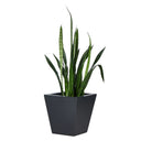 KOTO PLANTER