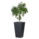 KOTO PLANTER