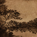 Heirloom #10 By Hannah Winters