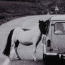 On The Road Iii By Annie Spratt