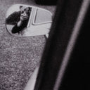 On The Road Iii By Annie Spratt